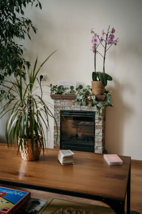 Guest room, Podlesanka